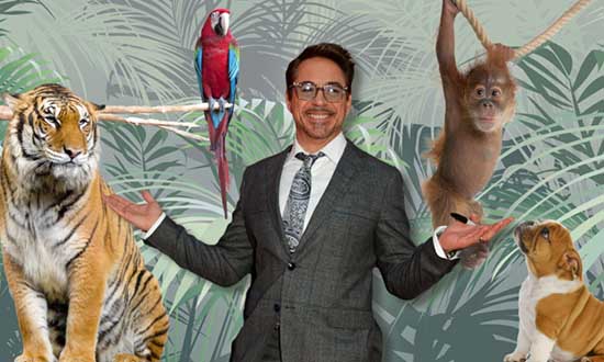 doctordolittle robertdowneyjr