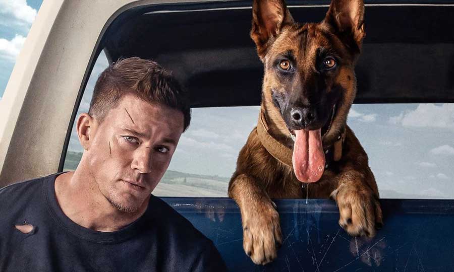 dog channing tatum mgm