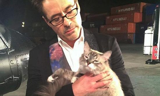 drdolittle robertdowneyjr voyager