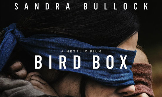 netflix birdbox