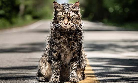 pet sematary church remake