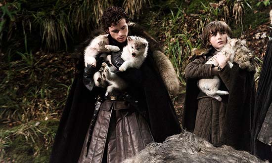 starks game of thrones direwolves