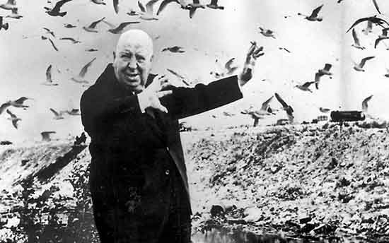 thebirds alfred hitchcock